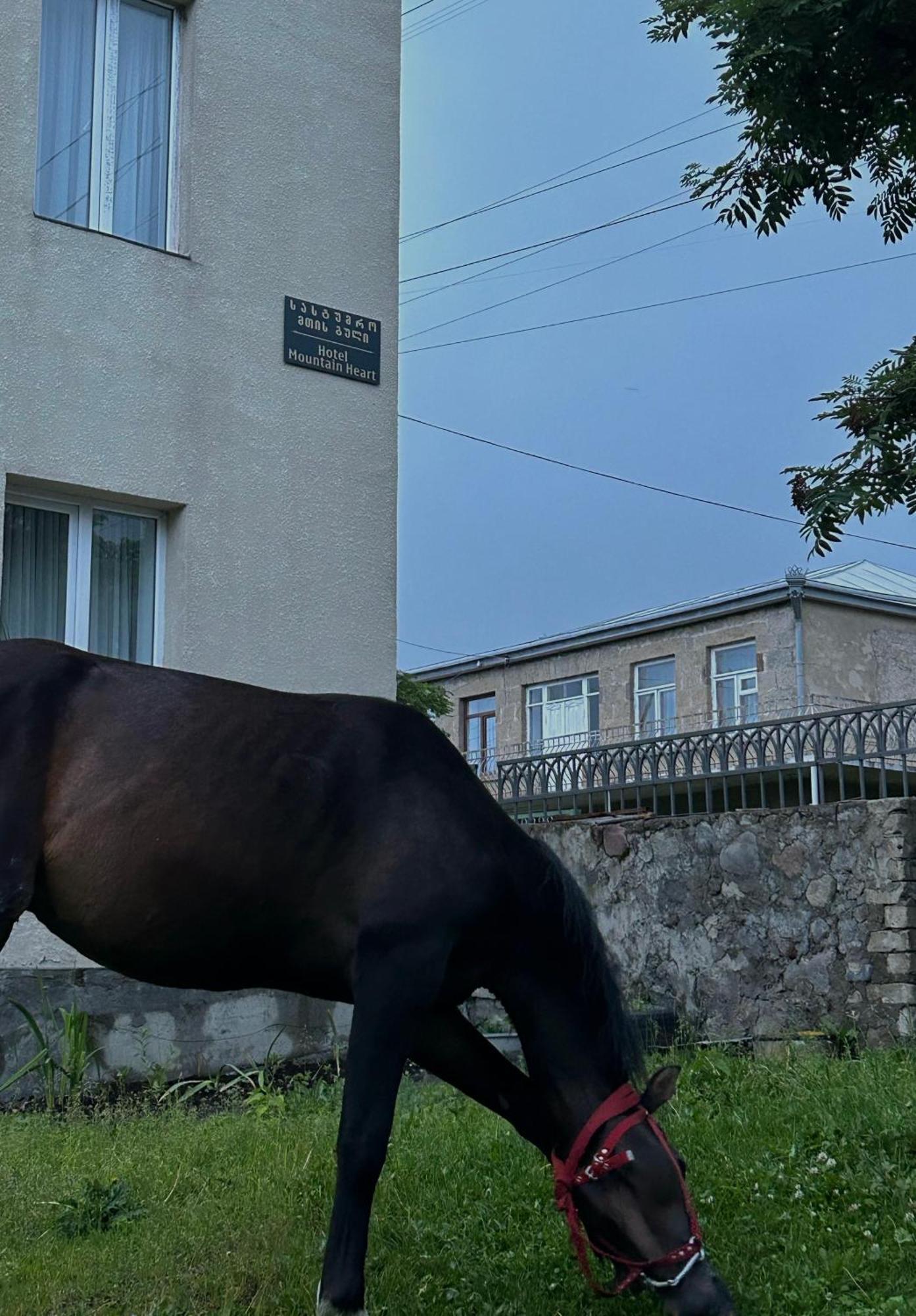Mountain Heart Bed & Breakfast Kazbegi Exterior foto